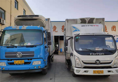 車輛展示