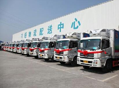 車(chē)輛展示
